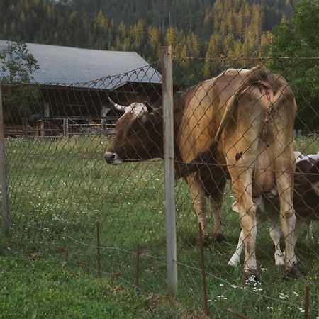 Landhaus Obervellach Hermagor-Pressegger See Εξωτερικό φωτογραφία
