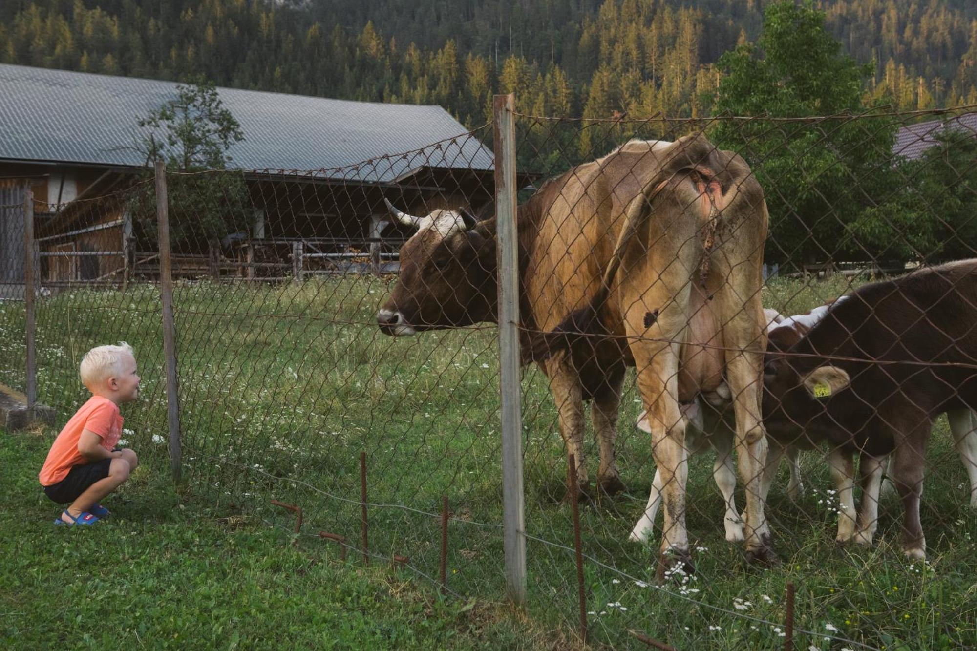 Landhaus Obervellach Hermagor-Pressegger See Εξωτερικό φωτογραφία